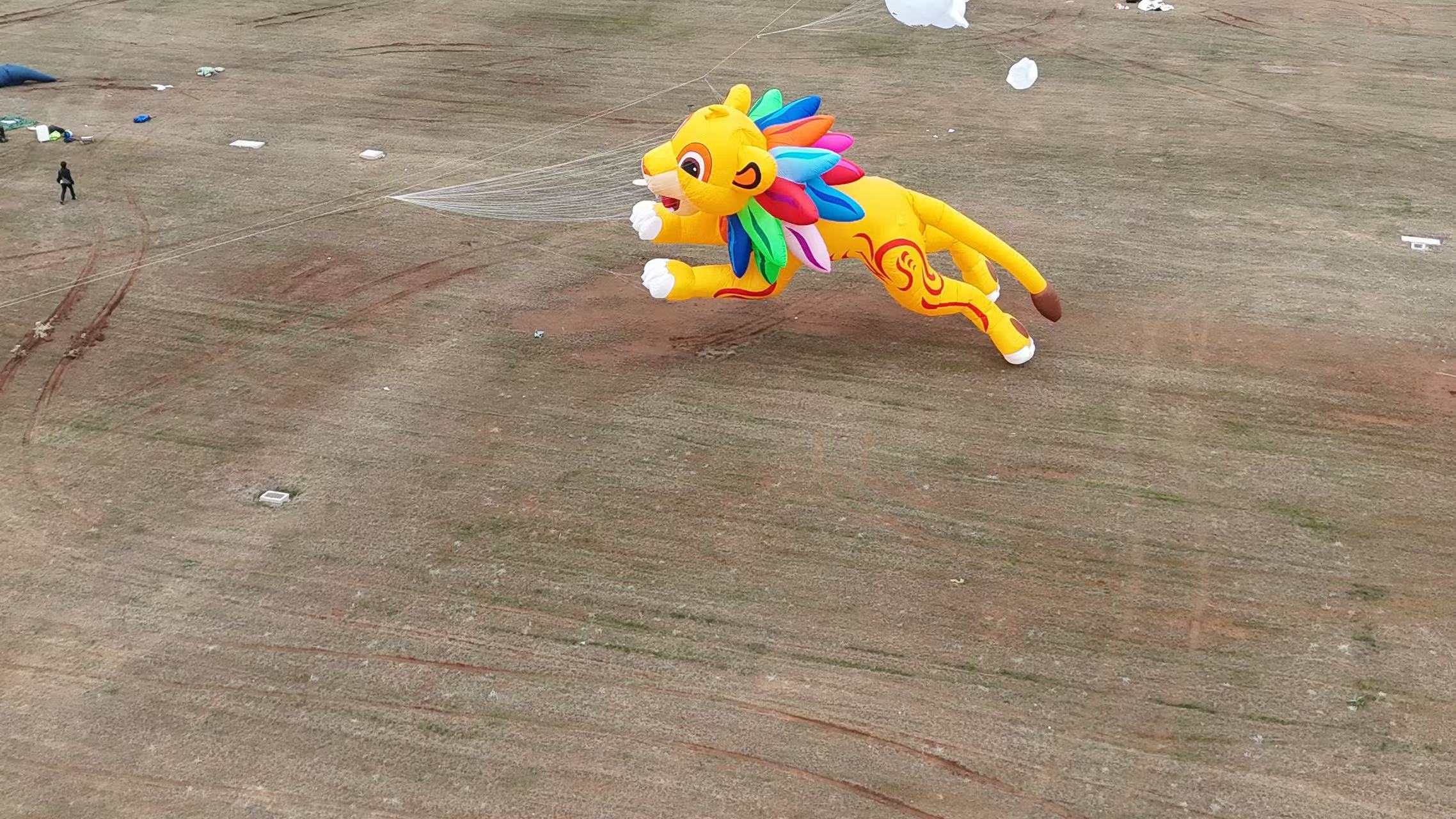 亳州市品牌风筝定制风筝放飞活动策划 - 排名